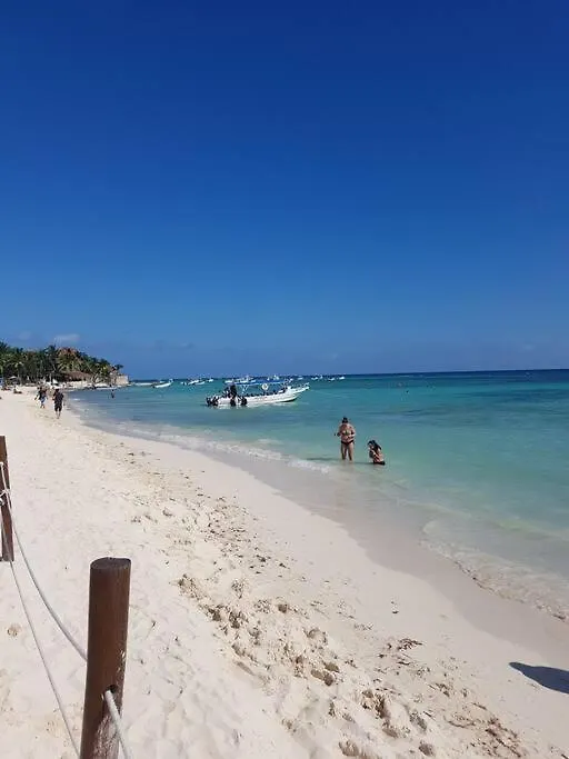 Apartament Luxury Loft On 5Th Ave. ¡Beach Walking Distance! Playa del Carmen