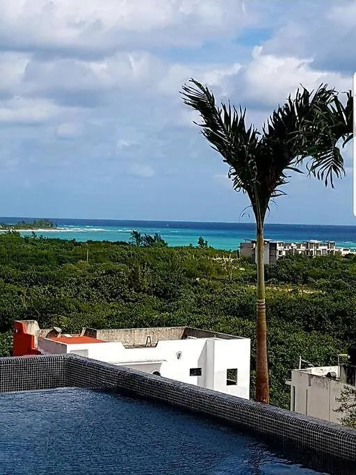 Apartament Luxury Loft On 5Th Ave. ¡Beach Walking Distance! Playa del Carmen