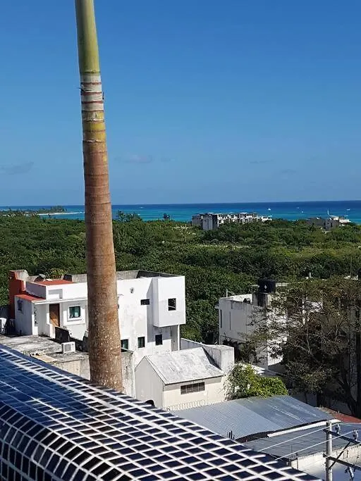 Ferienwohnung Luxury Loft On 5Th Ave. ¡Beach Walking Distance! Playa del Carmen
